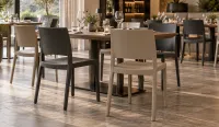 Sillas Polipropileno en 4 colores distintos